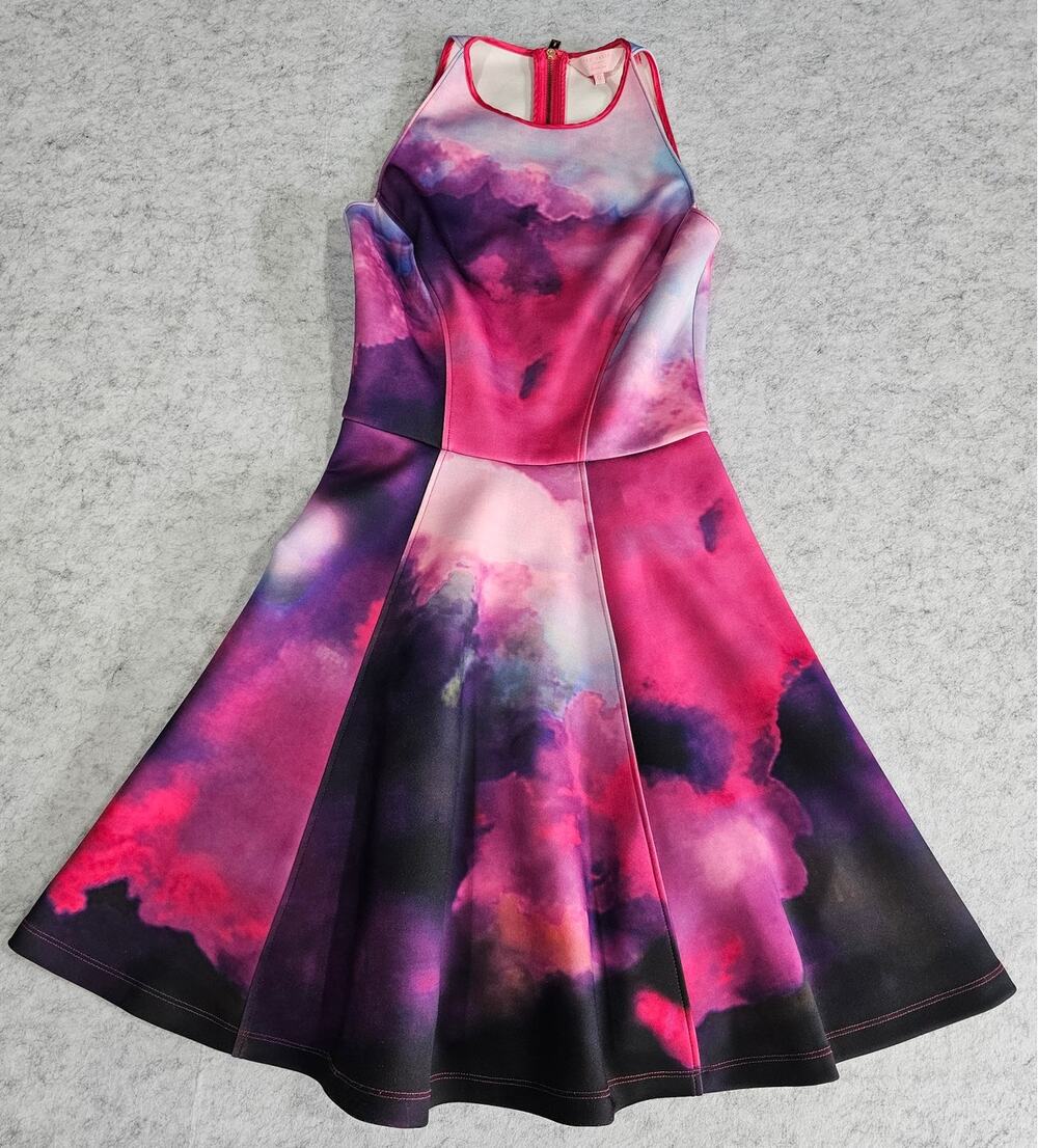 Ted Baker London Summer At Dusk Fit-And-Flare Mini Dress, Size 0